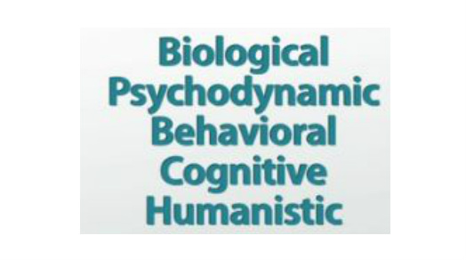 the modern biological perspective of psychology studies